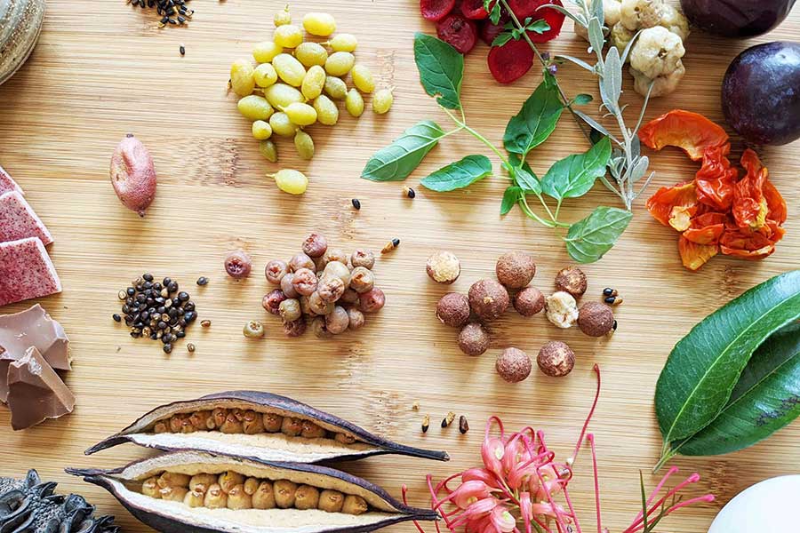 A Journey Through Flavour: Exploring the Rich History and Culinary Delights of Australian Aboriginal Cuisine