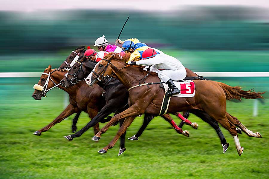 Melbourne Cup horse race