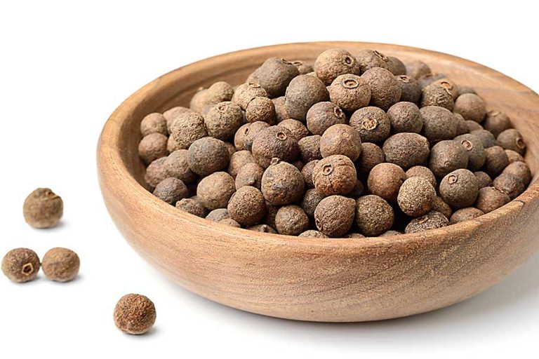Allspice CHEFIN Australia