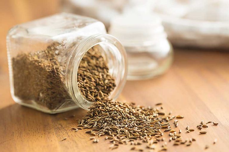 Caraway Seed CHEFIN Australia