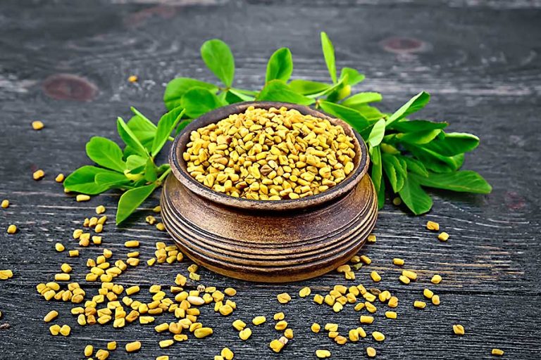 Fenugreek CHEFIN Australia