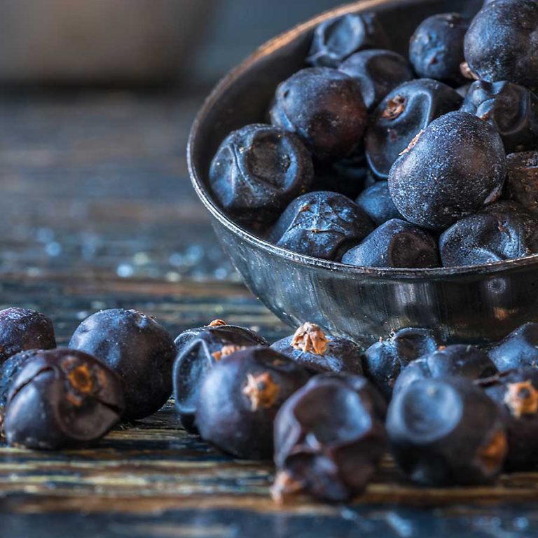 Juniper berry CHEFIN Australia