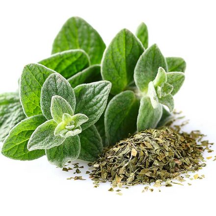 Oregano CHEFIN Australia