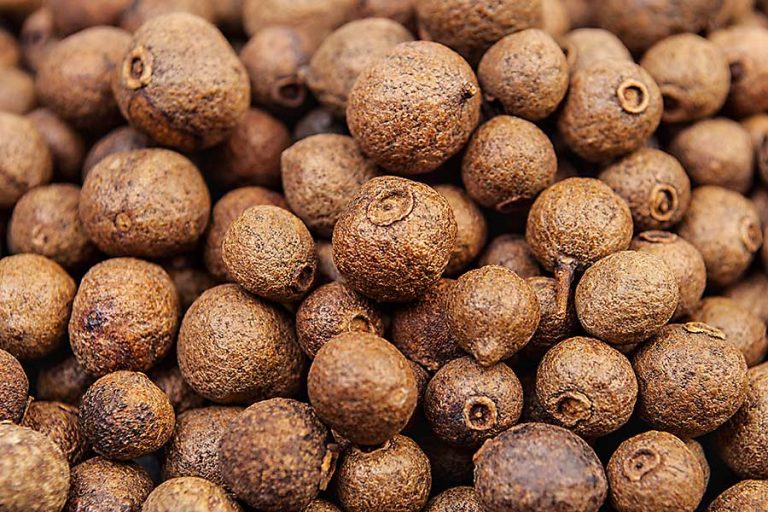 Allspice CHEFIN Australia