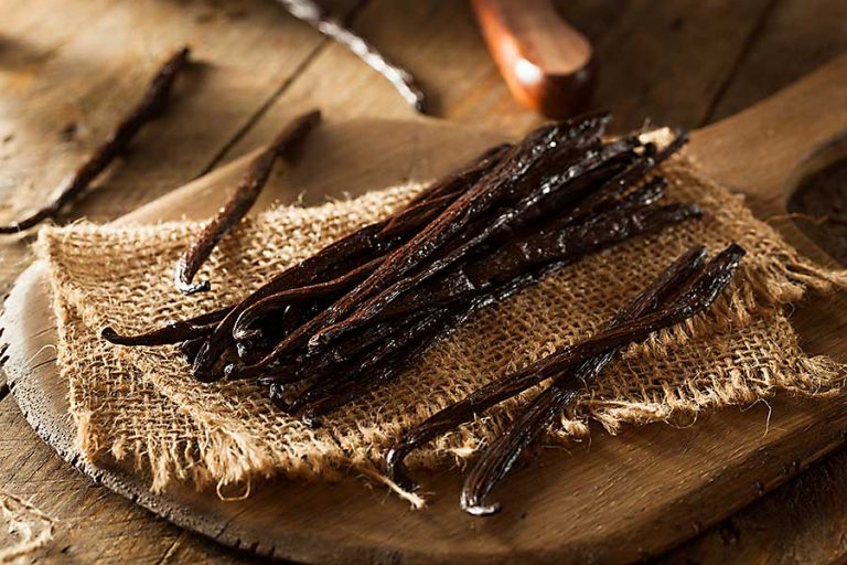 Vanilla CHEFIN Australia