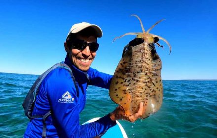 Private Chef Robert Morales Profile Photo with a wild caught giant squeed around the western Australian coast near Margaret River