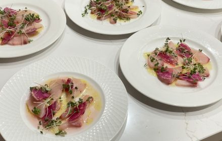 Chef Josh Pentreath Port Lincoln Kingfish, white miso dressing, mustard cress, watermelon radish 2