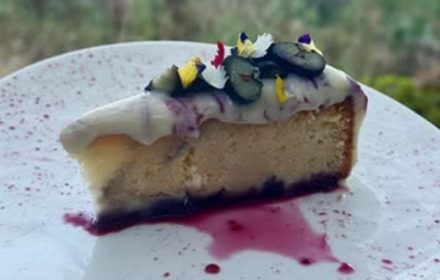 Chef Thanys Ndoye Blueberry Cake And White Chocolate Ganache