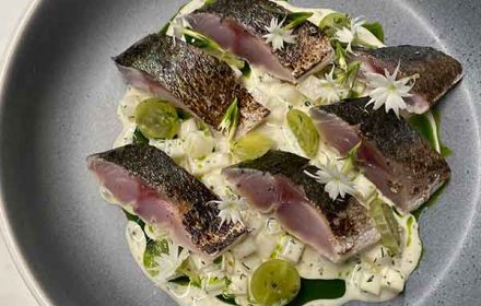 Chef Emrys Jones Mooloolaba Swordfish with Young Vegetables, Dashi Mint Vinaigrette